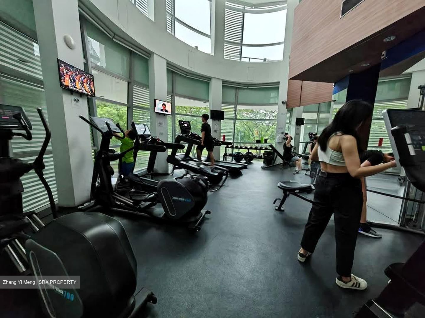 Eight Riversuites (D12), Condominium #603085771